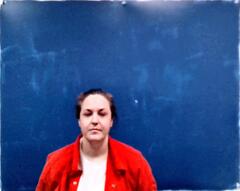 Mugshot of depriest, mandi jo